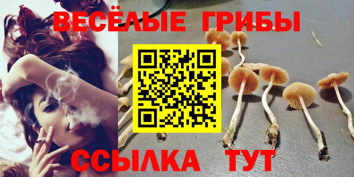 где найти   Челябинск  Галлюциногенные грибы прущие грибы 